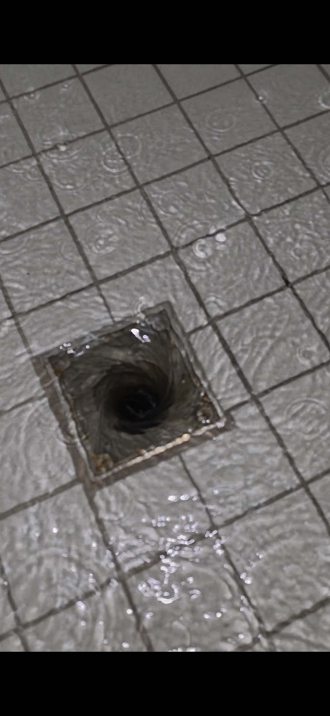 Pat's Sewer And Drain Email Pull (14)
